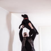 hund søger efter skimmelsvamp